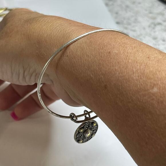 Alex & Ani burnished gray silver tone bracelet WINGS OF CHANGE bangle - Picture 2 of 9